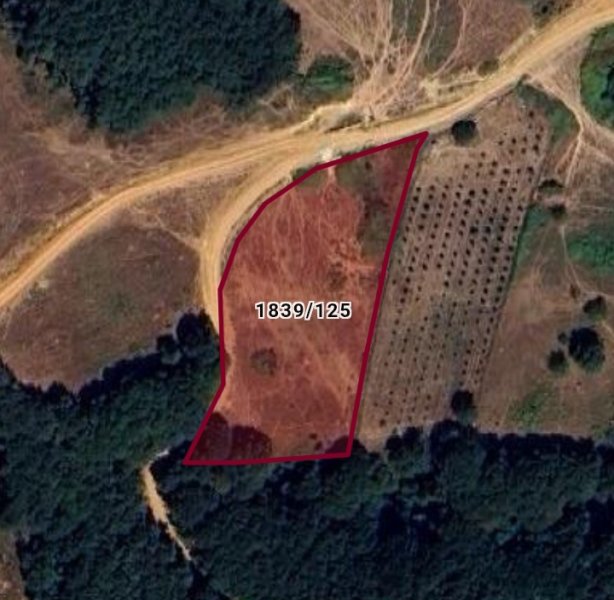 SATILIK 3533 TARLA - BAYINDIR İZNİK BURSA